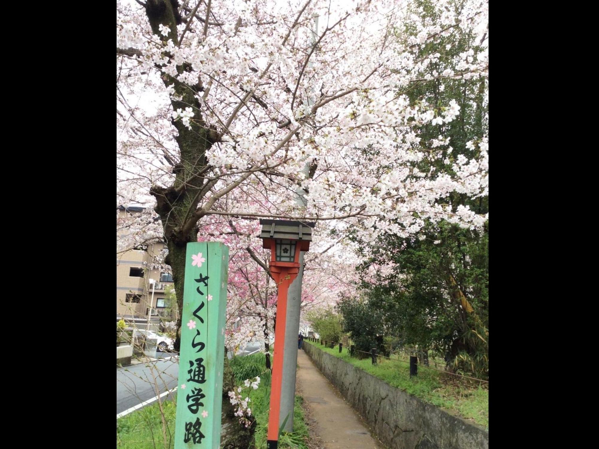 Kyounoyado Hana Nishijin - Kimono No Yado Kyoto Luaran gambar