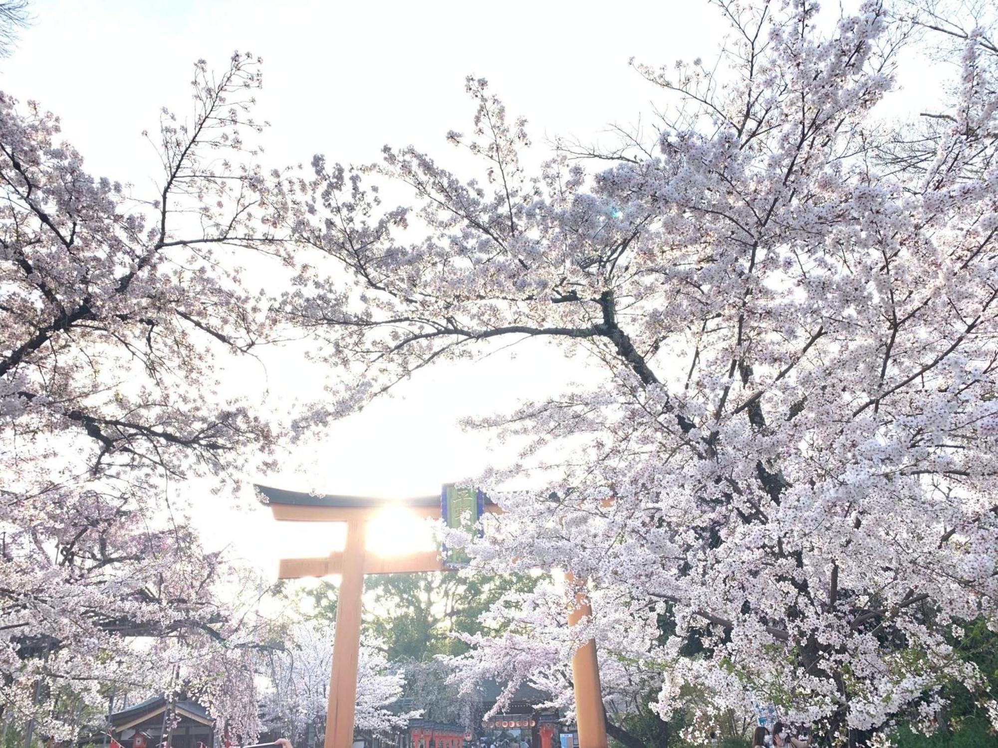 Kyounoyado Hana Nishijin - Kimono No Yado Kyoto Luaran gambar